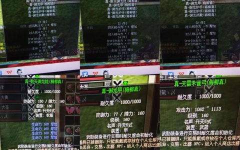 热血江湖梅20技能加点攻略，最新版高效输出配法