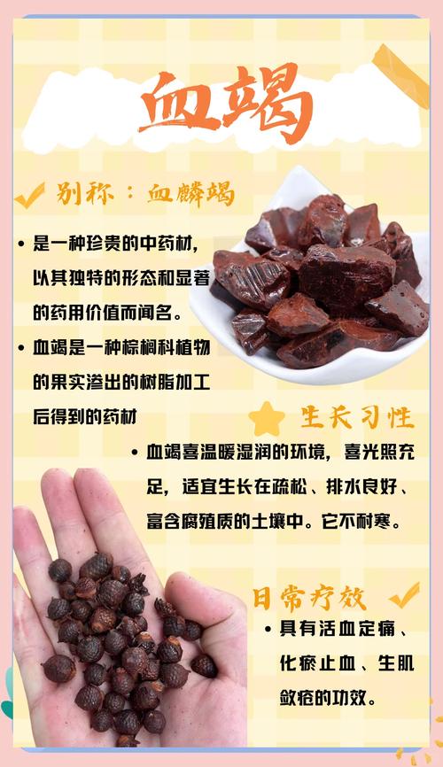 热血江湖血珠全功效详解，新手必看搭配攻略-2