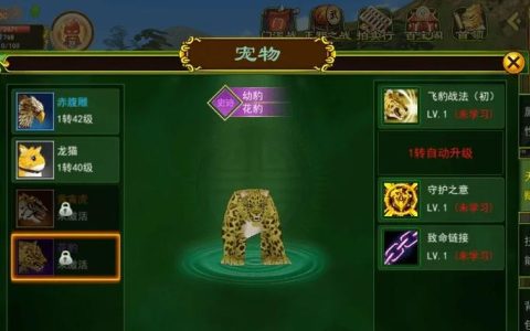 热血江湖手游宠物武搭配攻略：平民必看三大核心打法