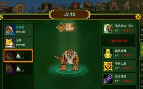 热血江湖龙猫三转攻略，3分钟看懂怎么完成