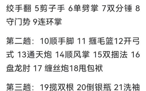 热血江湖拳师必看：2026最新PVP与刷图双修套路推荐