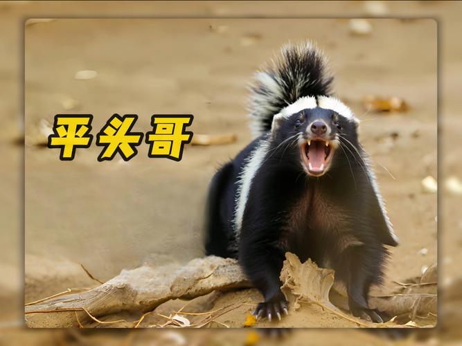 热血江湖OL平头哥怎么打？这份高效攻略新手必看！-1
