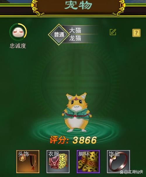 热血江湖龙猫解说：2026最新副本速通攻略，新手必看！-3