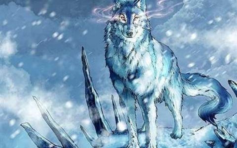 热血江湖哪种狼最好？2026年最新狼宠属性排名与推荐